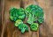 Acrylic Painted Portrait of Broccoli for Someone that Loves Green Vegetables product 1